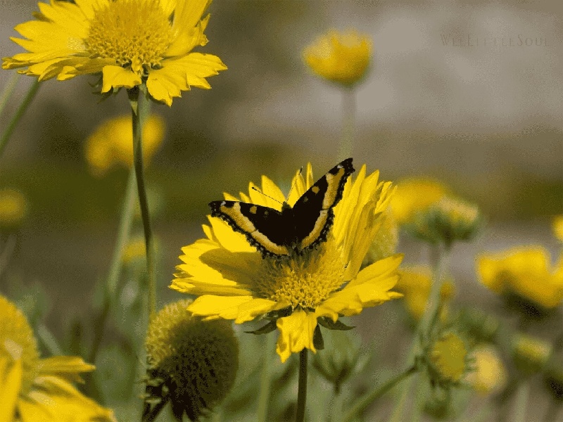台州医院试管群,硅胶试管塞图片